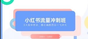 小红书流量冲刺班2025，最懂小红书的女人，快速教你2025年入局小红书-识享社
