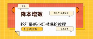 蛇年最新小红书爆粉教程,狂引副业粉,月入万+必看-识享社