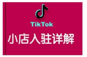 TikTok跨境小店运营全攻略,帮助你独立运营TK跨境小店的能力,实现销量增长-识享社
