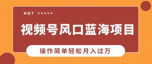 视频号风口蓝海项目,中老年人的流量密码,操作简单轻松月入过万-识享社