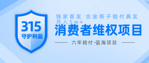 维Q赔付合金筷子玩法小白也能月入5w+风口项目实操-识享社