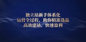 独立站新手体系化 运营全过程,助你精准选品、高效建站、快速盈利-识享社