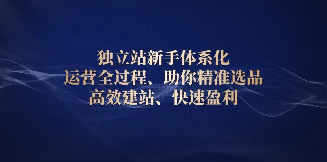 独立站新手体系化 运营全过程,助你精准选品、高效建站、快速盈利-识享社