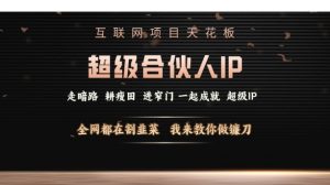 互联网项目天花板，超级合伙人IP，全网都在割韭菜，我来教你做镰刀【仅揭秘】-识享社