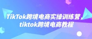 TikTok跨境电商实操训练营,tiktok跨境电商教程-识享社