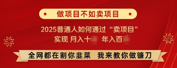 必看,做项目不如卖项目,2025普通人如何通过“卖项目”实现月入十个,年入百个-识享社