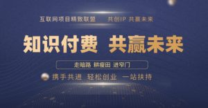 别人苦寻无果，为何他们靠知识付费卖项目 2025 年轻松年入100个?【揭秘】-识享社