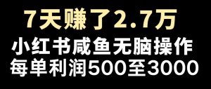 最赚钱项目之一，2025爆火，逆风翻盘！-识享社