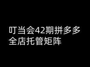 叮当会拼多多打爆班原创高阶技术第42期,拼多多全店托管矩阵-识享社