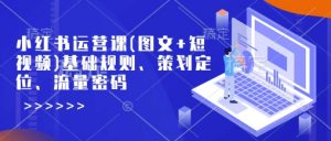 小红书运营课(图文+短视频)基础规则、策划定位、流量密码-识享社