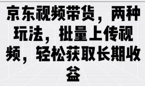京东视频带货,两种玩法,批量上传视频,轻松获取长期收益-识享社