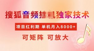 全网首发搜狐音频挂JI独家技术，项目红利期，可矩阵可放大，稳定月入8k【揭秘】-识享社