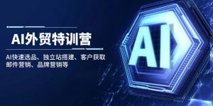 AI外贸特训营:AI快速选品、独立站搭建、客户获取、邮件营销、品牌营销等-识享社