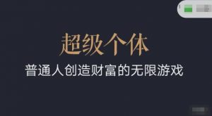 超级个体2024-2025翻盘指南，普通人创造财富的无限游戏-识享社