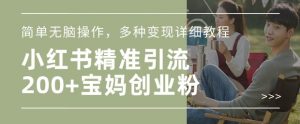 小红书混剪日引200+宝妈创业粉，简单无脑操作，多种变现详细教程-识享社