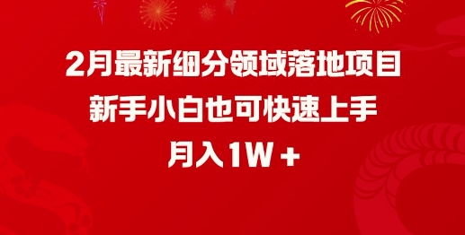 2月最新细分领域落地项目,新手小白也可快速上手,月入1W-识享社