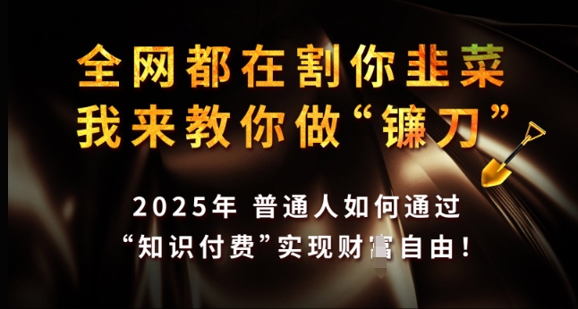 全网都在割你韭菜,我来教你做镰刀,2025年普通人如何通过 知识付费 实现财F自由【揭秘】-识享社