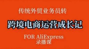 跨境电商速卖通运营课，​运营方法论+后台实操，逻辑清晰-识享社