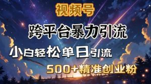 跨平台暴力引流,私域完美闭环,日引500+精准创业粉-识享社