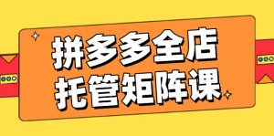 拼多多全店托管矩阵课,盈利动销玩法,高效计划设置,提升店铺效益-识享社