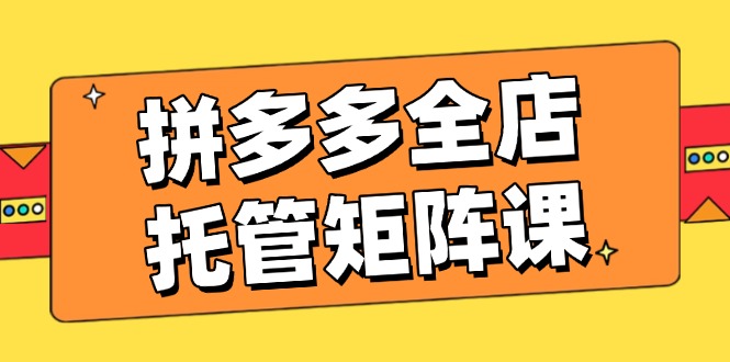 拼多多全店托管矩阵课,盈利动销玩法,高效计划设置,提升店铺效益-识享社