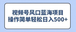 视频号风口蓝海项目，操作简单轻松日入500+-识享社
