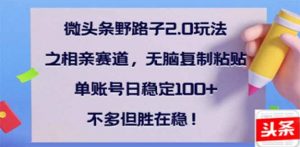 微头条野路子2.0玩法之相亲赛道，无脑搬砖复制粘贴，单账号日稳定300+...-识享社