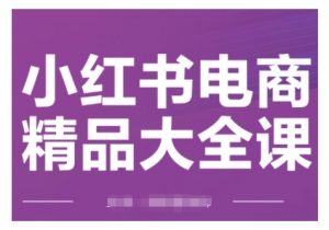 小红书电商精品大全课,快速掌握小红书运营技巧,实现精准引流与爆单目标,轻松玩转小红书电商(更新2月)-识享社