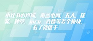 小红书必修课,覆盖电商,无人,获客,种草,mcn,直播等多个板块,看了就能干-识享社
