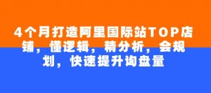 4个月打造阿里国际站TOP店铺,懂逻辑,精分析,会规划,快速提升询盘量-识享社