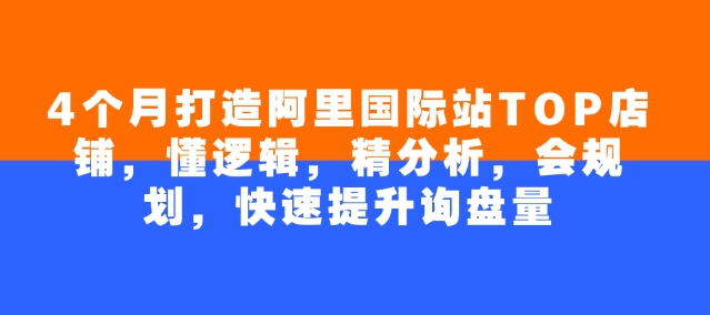 4个月打造阿里国际站TOP店铺,懂逻辑,精分析,会规划,快速提升询盘量-识享社