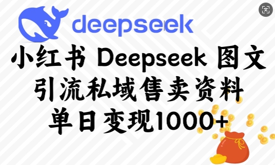 小红书Deepseek图文引流私域售卖资料,单日变现多张-识享社