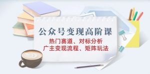 公众号变现高阶课：热门赛道、对标分析、广告主变现流程、矩阵玩法-识享社