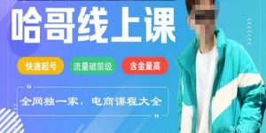 电商线上课程2025年，快速起号，流量破层级，这套方法起号率99%-识享社