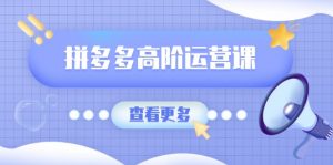 拼多多高阶运营课：极致群爆款玩法，轻付费无尽复制，打造单品爆款之路-识享社