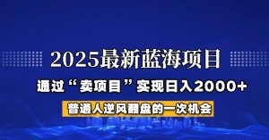 2025年蓝海项目,如何通过“网创项目”日入2000+-识享社