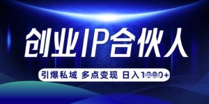 云帆·创业ip合伙人打造3.0，从0到1教你做网创，实现月入过W-识享社