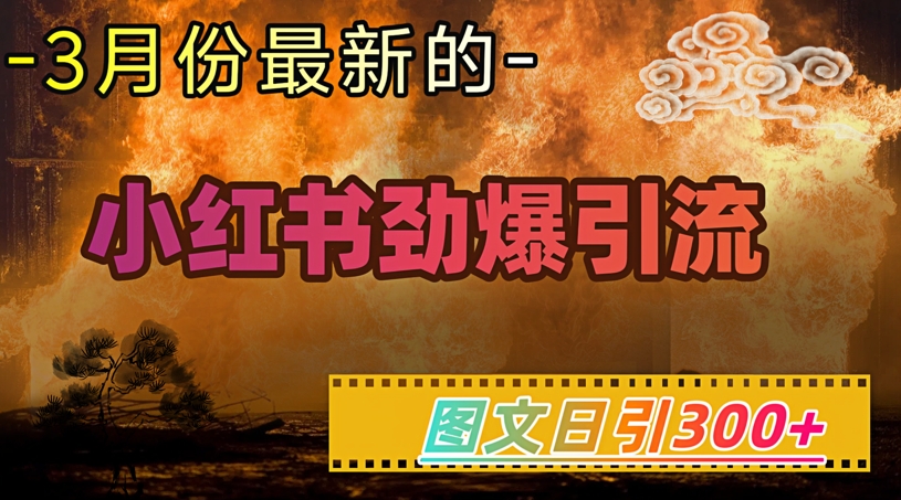 小红书超劲爆引流手段,图文日引300+轻松变现1W-识享社