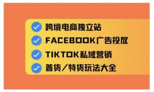 跨境电商独立站及全域流量营销,从0基础快速入门并精通跨境电商运营-识享社
