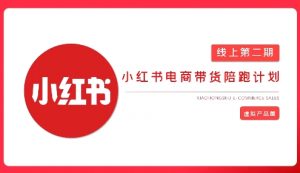 2025小红书虚拟电商实战课,从0到1打造无货源店铺,AI+爆款笔记轻松变现-识享社