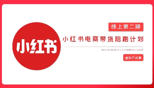 2025小红书虚拟电商实战课,从0到1打造无货源店铺,AI+爆款笔记轻松变现-识享社