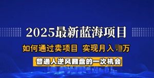 2025蓝海项目,普通人如何通过卖项目,实现月入过W,全过程【揭秘】-识享社