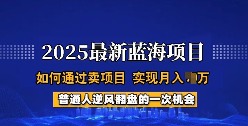 2025蓝海项目，普通人如何通过卖项目，实现月入过W，全过程【揭秘】-识享社