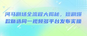 河马剧场全流程大揭秘，短剧爆款精选同一视频多平台发布实操-识享社