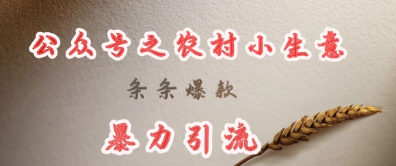 deepseek写农村小项目,条条爆款,暴力引流-识享社