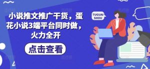 小说推文推广干货，蛋花小说3端平台同时做，火力全开-识享社