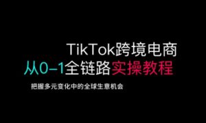 TikTok跨境电商从0-1全链路全方位实操教程，把握多元变化中的全球生意机会-识享社