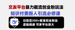 交友平台暴力截流创业粉玩法，知识付费新人引流必修课，日稳定300+精准创业粉丝，逻辑相通可多平台放大-识享社