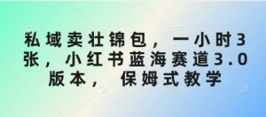 私域卖壮锦包,一小时3张,小红书蓝海赛道3.0版本, 保姆式教学-识享社