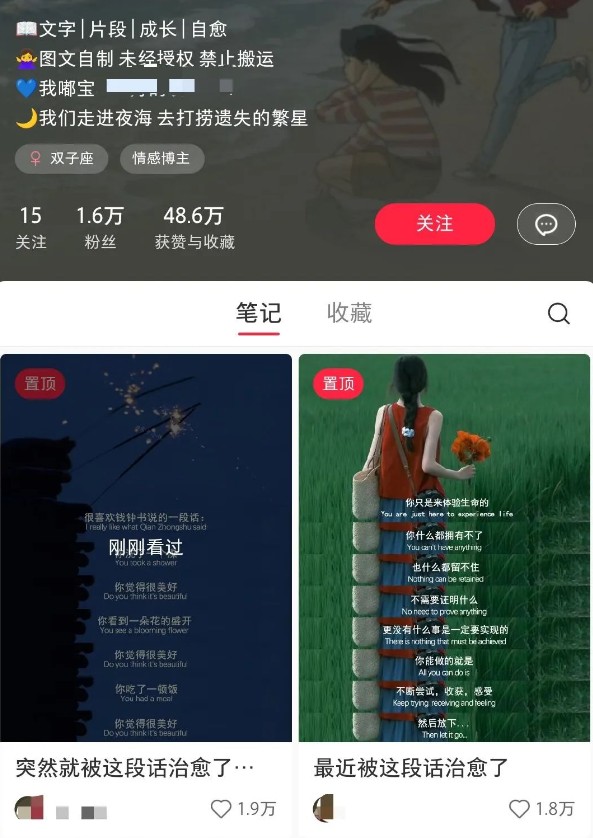 小红书治愈文案图文笔记,零门槛,一分钟制作轻松制作爆款作品月入万元-识享社